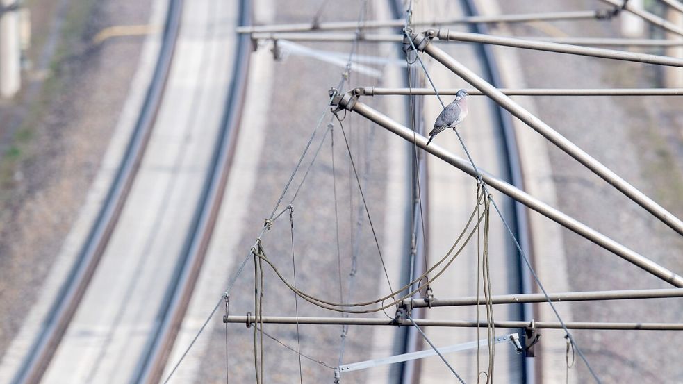 Wer eine Bahn-Oberleitung berührt oder ihr zu nahe kommt, begibt sich in Lebensgefahr. (Archivbild) Foto: Julian Stratenschulte/dpa