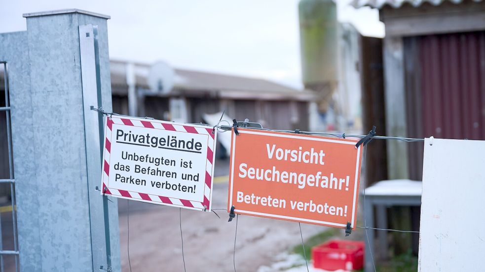 Schutzmaßnahmen sind angelaufen nach dem Ausbruch der Maul- und Klauenseuche. Foto: Annette Riedl/dpa