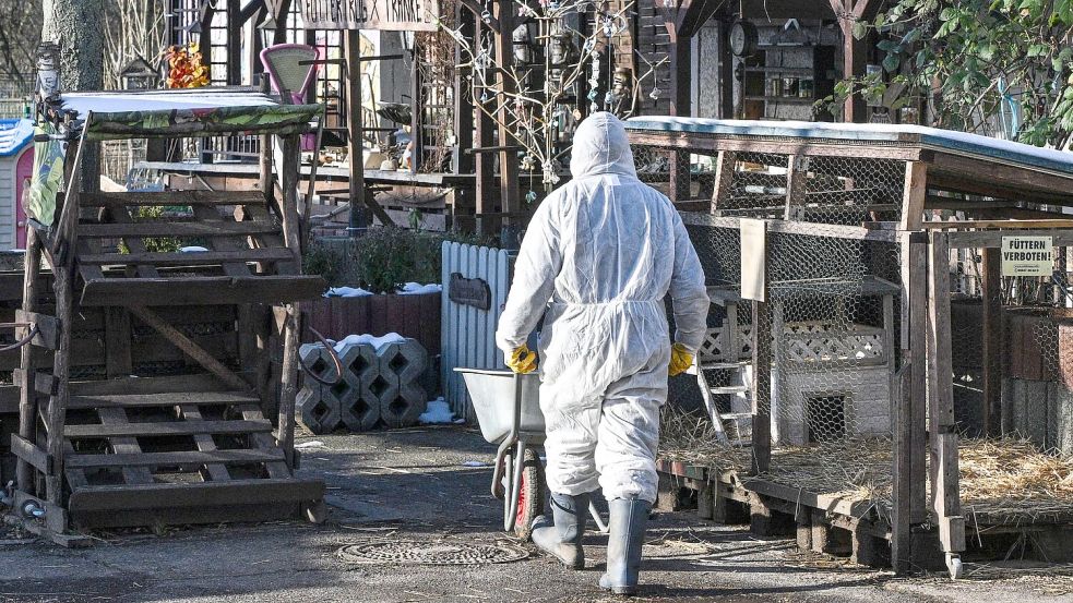 Im Bereich der Schutzzone müssen Mitarbeiter in gefährdeten Tierbetrieben viele Hygienemaßnahmen beachten (Archivbild). Foto: Jens Kalaene/dpa