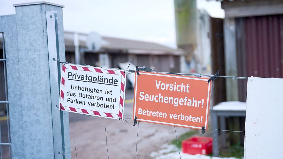 In Brandenburg gilt noch bis zunächst Mittwochnacht ein Tiertransportverbot. (Archivbild) Foto: Annette Riedl/dpa