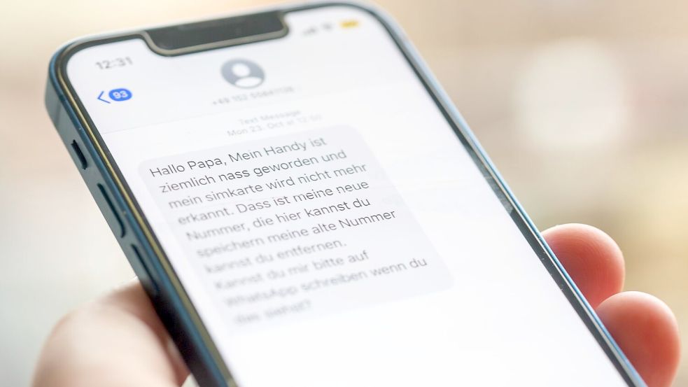 Eine Frau hält ein Smartphone in ihrer Hand, auf dessen Display eine Betrugs-SMS zu lesen ist. Foto: Fernando Gutierrez-Juarez/dpa