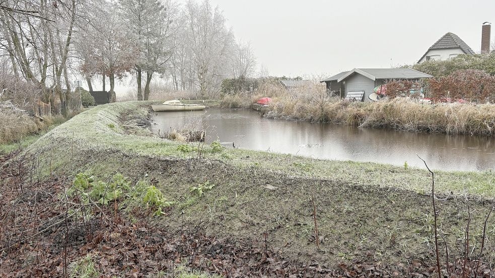 Das Gras ist noch jung, die Kontur des erhöhten Damms scharf: An dieser Stelle am Ende des Hasenwegs dürfte die Wiegsboldsburer Riede so schnell nicht wieder über die Ufer treten. Foto: Karin Böhmer