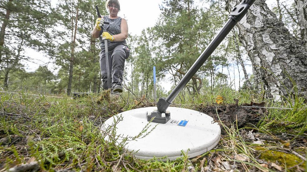 Spezialisten suchen auf diesem Beispielbild mit einer speziellen Sonde nach Kampfmitteln. Foto: Jens Kalaene/DPA