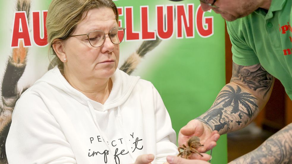 Anja Thiemann aus Gescher, Münsterland, überwand ihre Spinnenphobie und ließ eine Spinne über die ihre Hand krabbeln. Foto: Helmut Vortanz