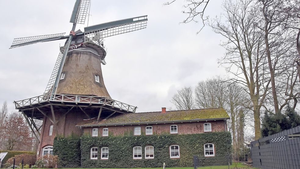 Das frühere mit Efeu bewachsene Packhaus der Windmühle in Marienhafe-Tjüche wird als Wohnraum genutzt. Foto: Thomas Dirks