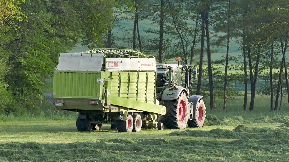 In Ostfriesland entscheiden sich viele Jugendliche für eine Ausbildung in der Landwirtschaft. Foto: Pixabay