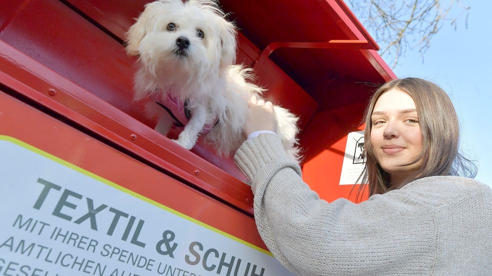 Durch solch eine Klappe wurde der Welpe Milou allem Anschein nach in den Altkleidercontainer geworfen. Dort saß er mindestens zwei Nächte lang fest, bevor Senay Sipahi den Ursprung des immer wieder hörbaren Fiepens und Jaulens lokalisieren konnte. Foto: Klaus Ortgies