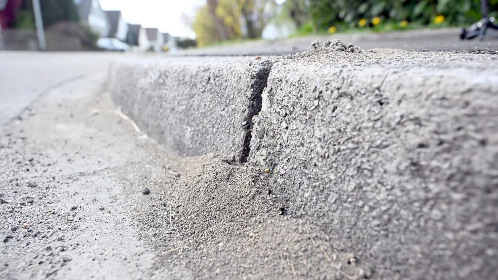Am Bordstein einer Straße sind Schäden zu sehen, die durch Ameisen hervorgerufen wurden. (Archivbild) Foto: Uli Deck/dpa